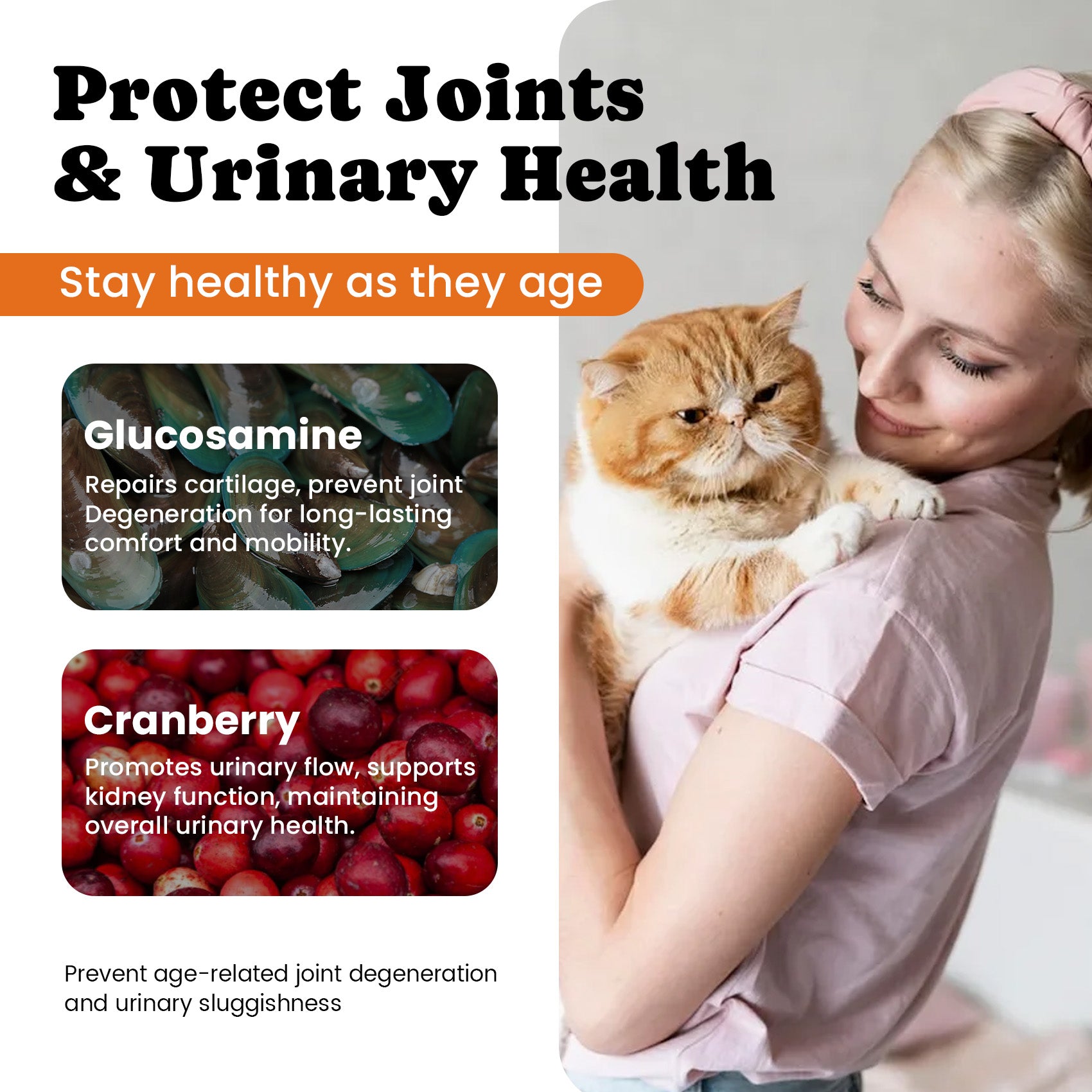 Cat Multivitamins Treats with L-Lysine & Taurine – 12 Vitamins & 5 Minerals - 450 Ct