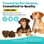 BuddyCheer Dog GABA Melatonin Soft Chews