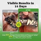 Teeth Cleaning Powder Dogs Daily Dental Support