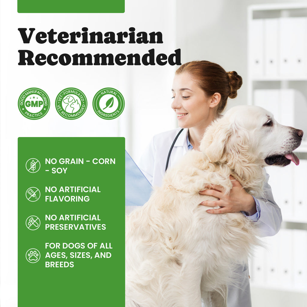 Mint Dental Powder Dogs Plaque Tartar Fresh Breath