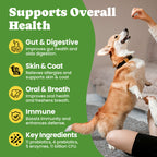 gut health for dogs and cats
