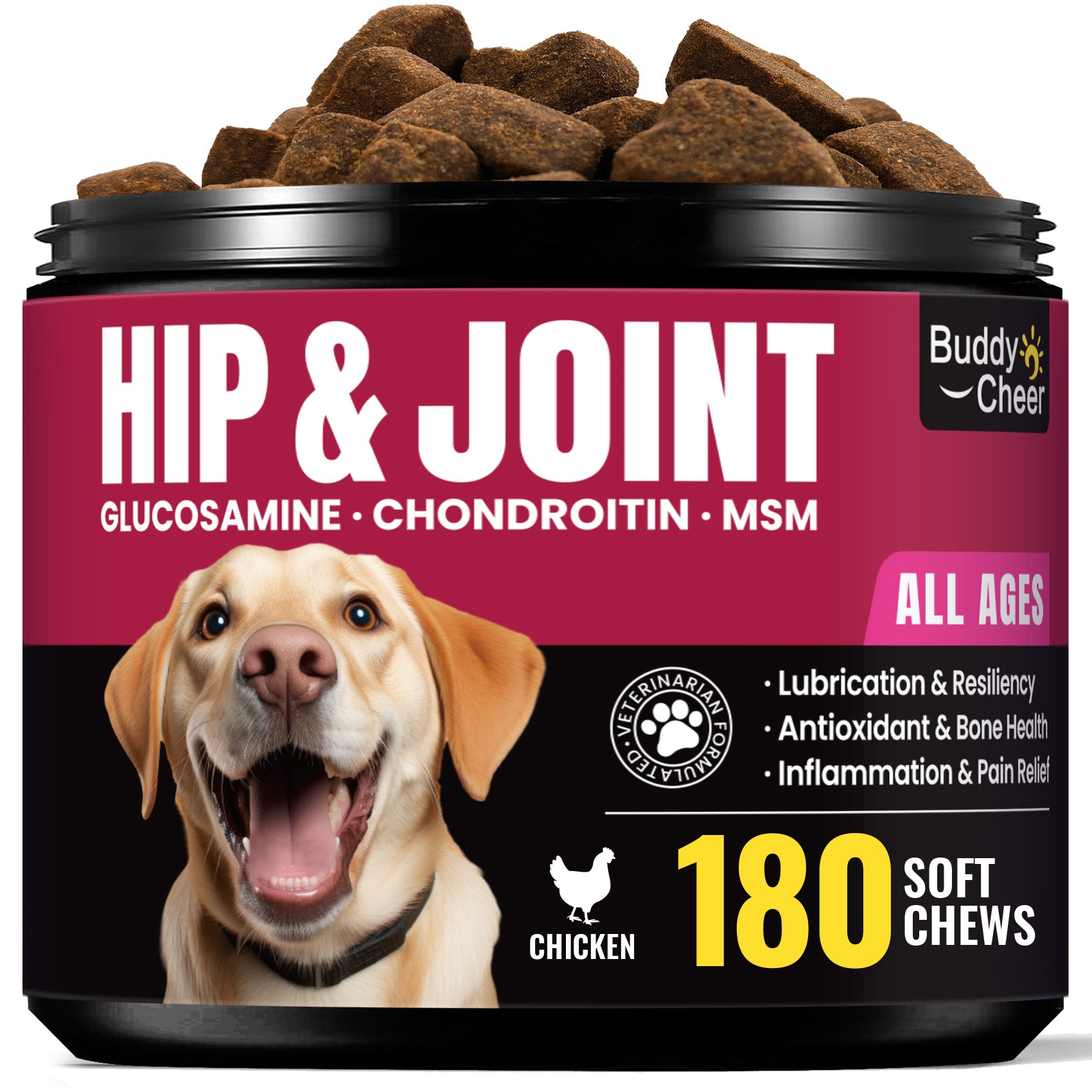 BuddyCheer Hip & Joint Chews 180 Ct | Dog Soft Supplement for